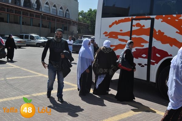 3omrashneer321 (39).JPG